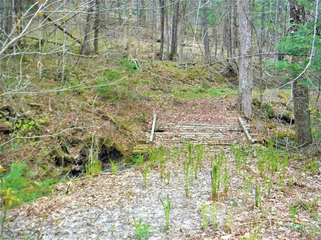 00 Symes Pond Road Ryegate VT 05042