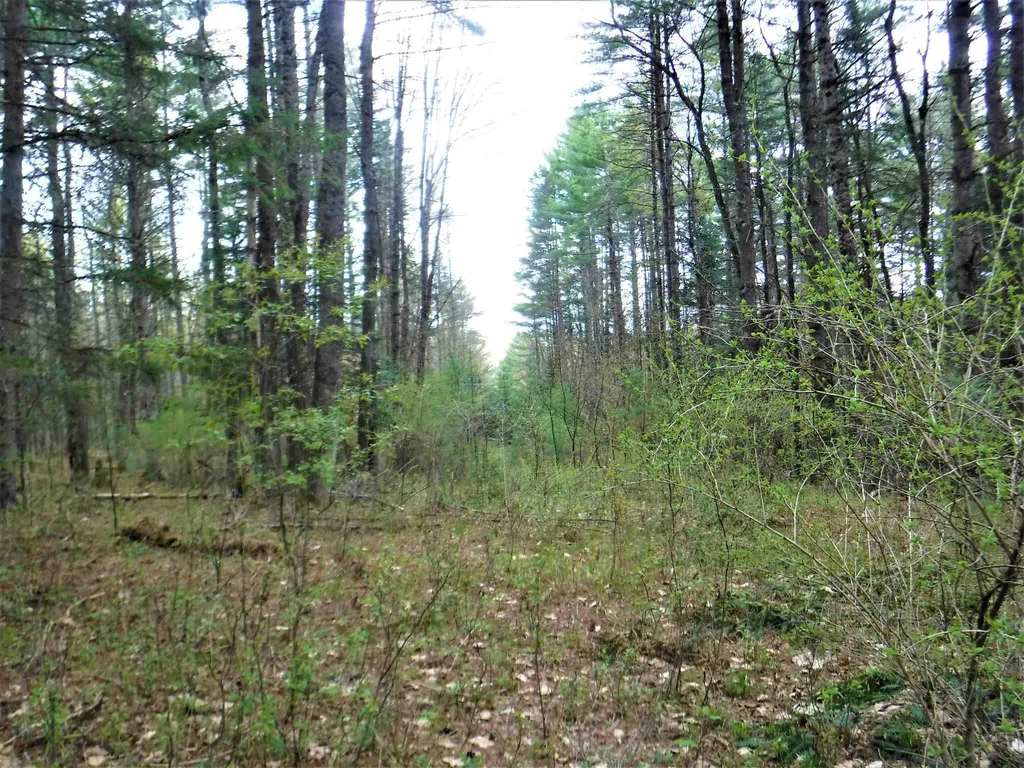 00 Symes Pond Road Ryegate VT 05042