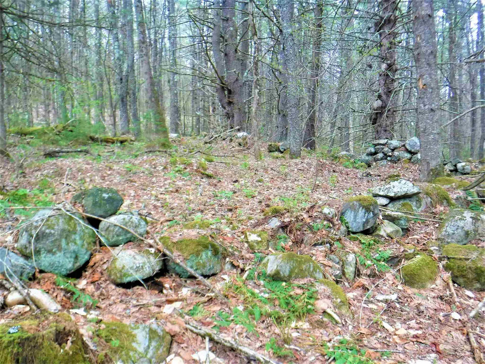 00 Symes Pond Road Ryegate VT 05042