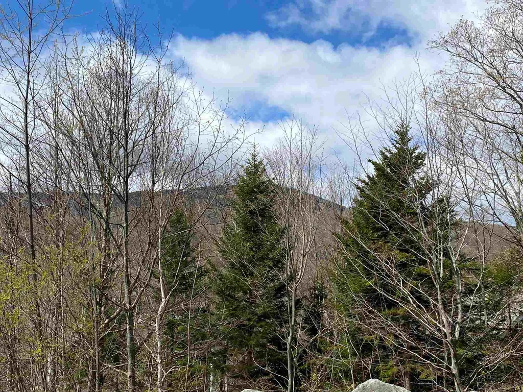 Lot A Pinnacle View Road Dover VT 05356