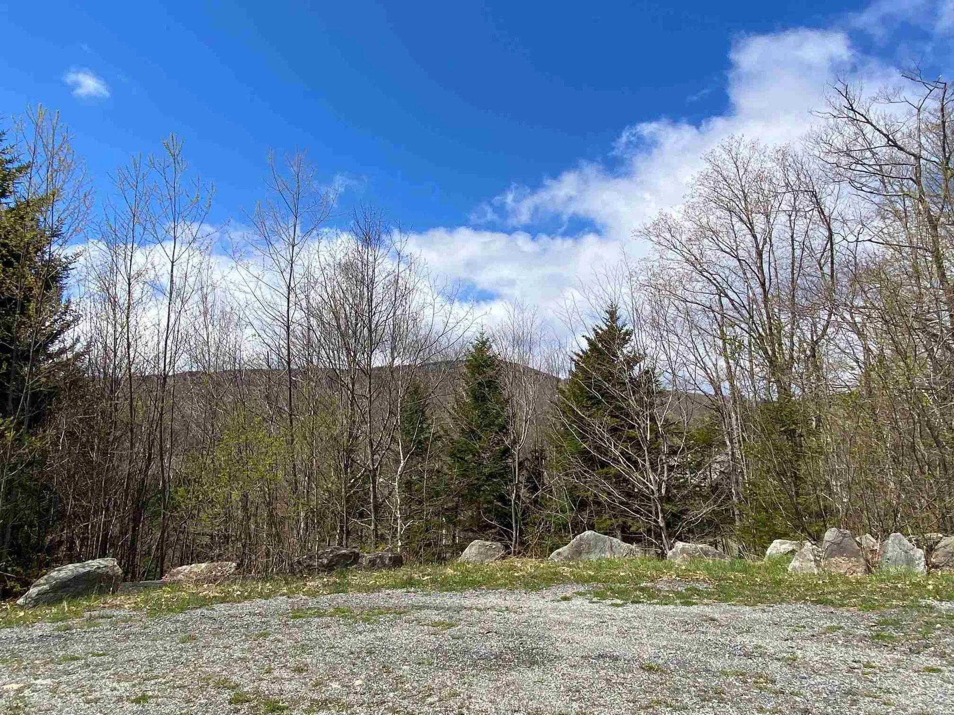 Lot A Pinnacle View Road Dover VT 05356