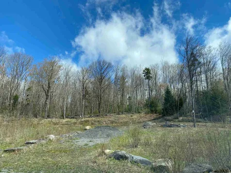 Lot A Pinnacle View Road Dover VT 05356