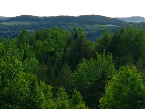 1601 Duck Pond Road Barton VT 05822