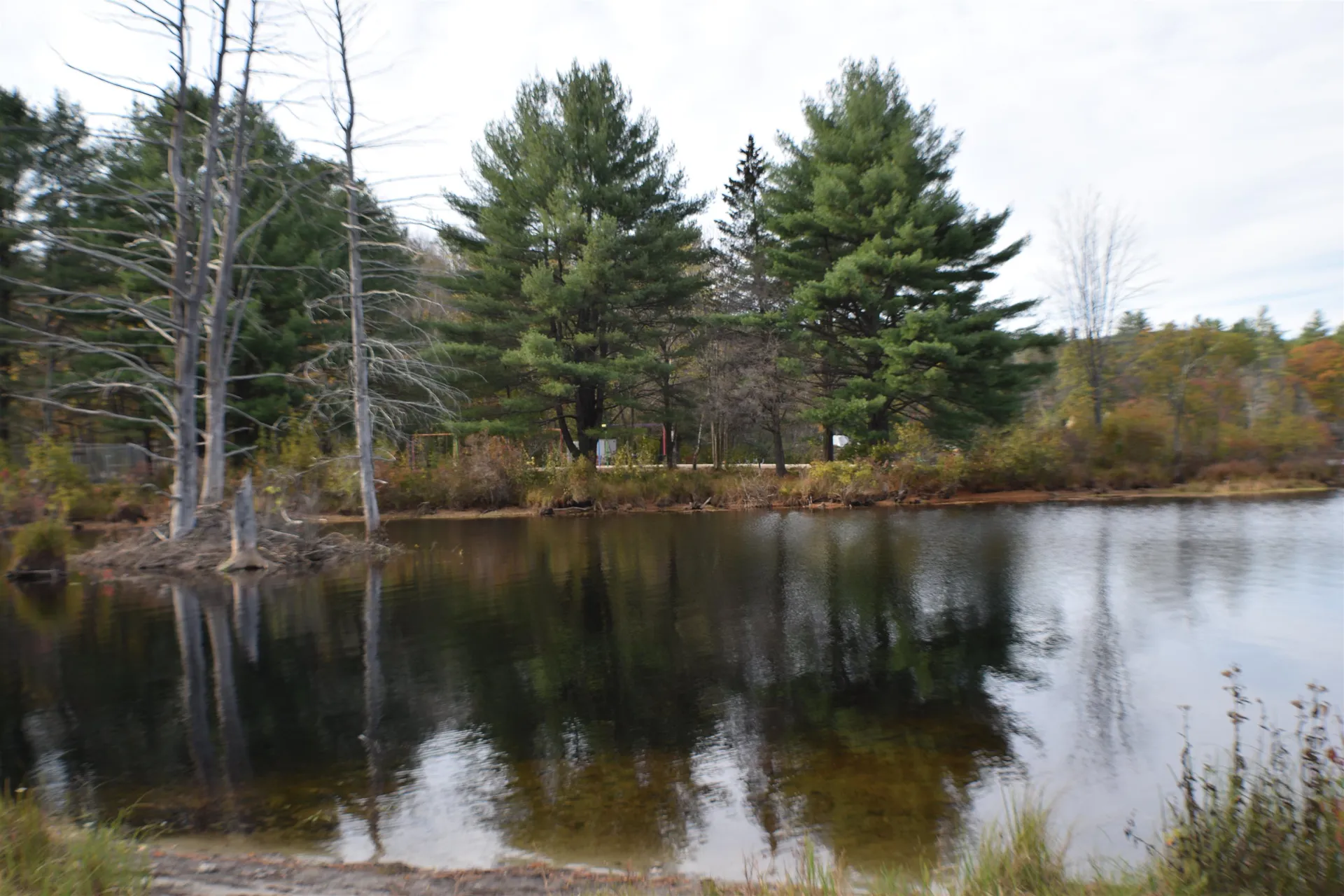4 Midnight Walk Hillsborough NH 03244