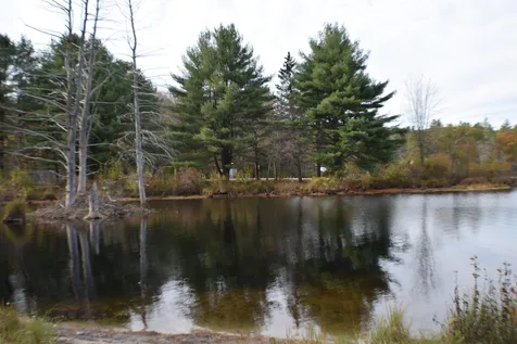 4 Midnight Walk Hillsborough NH 03244