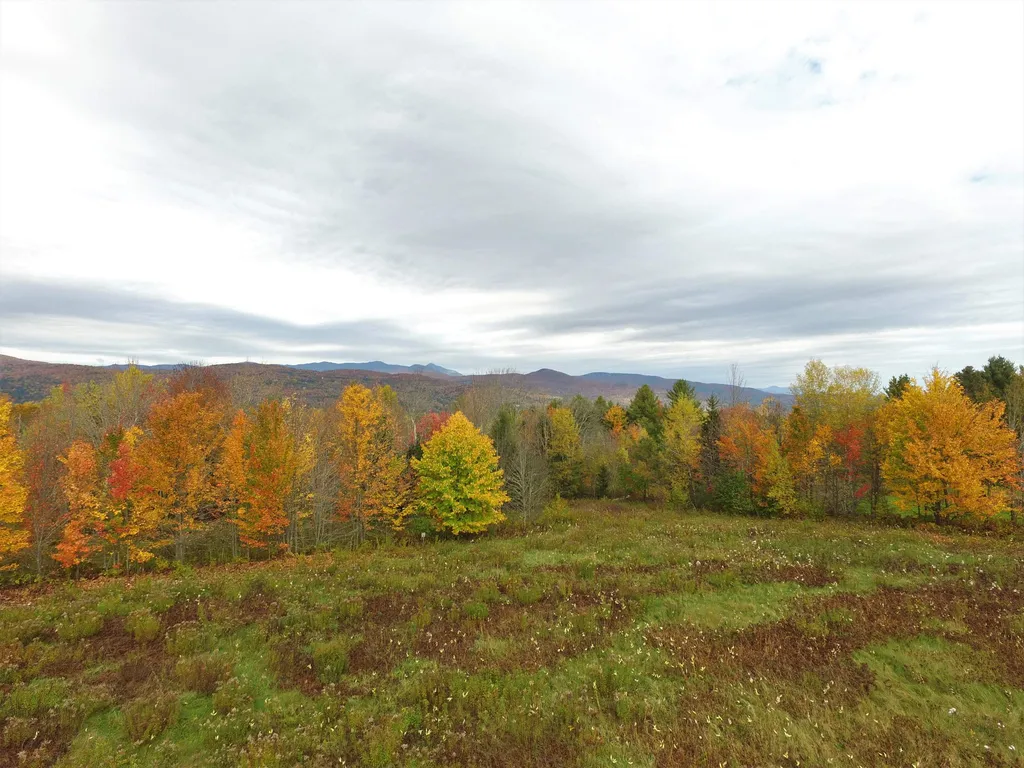 Lot 4 Graves Farm Road Waitsfield VT 05673