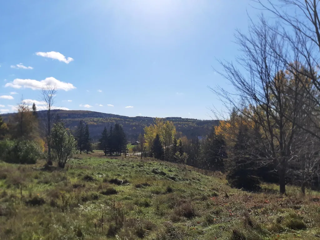 83 North Hill Road Stewartstown NH 03576