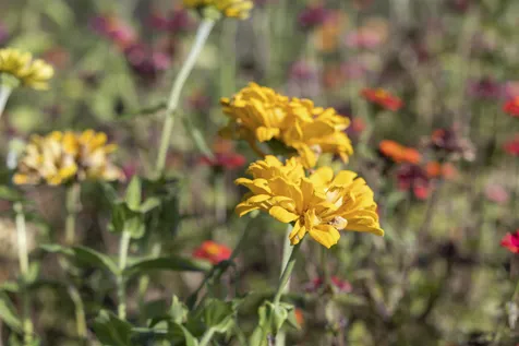 92 Winding Brook Lane Hartford VT 05001