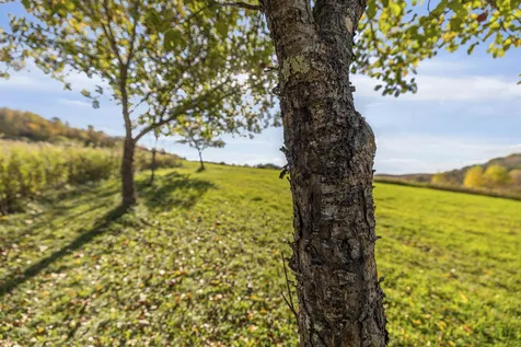 92 Winding Brook Lane Hartford VT 05001