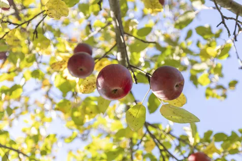 92 Winding Brook Lane Hartford VT 05001