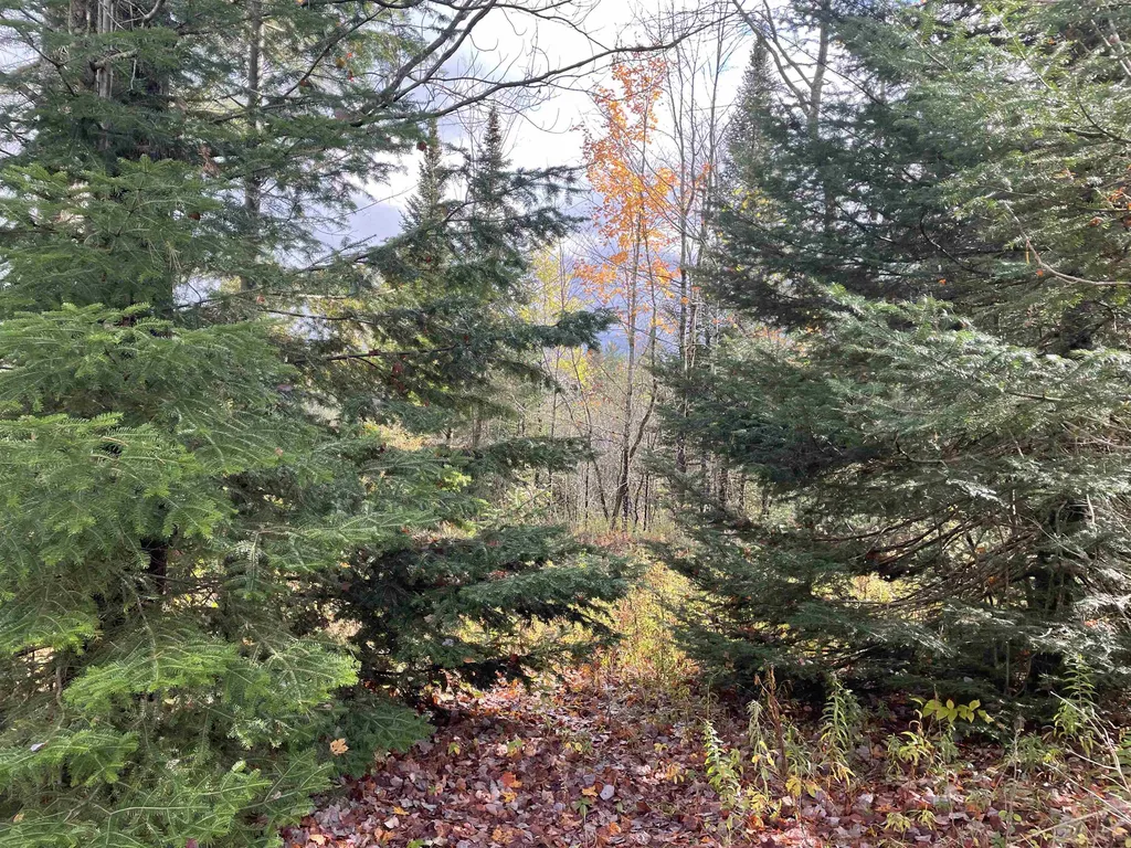 0 Shadow Lake Road Concord VT 05824