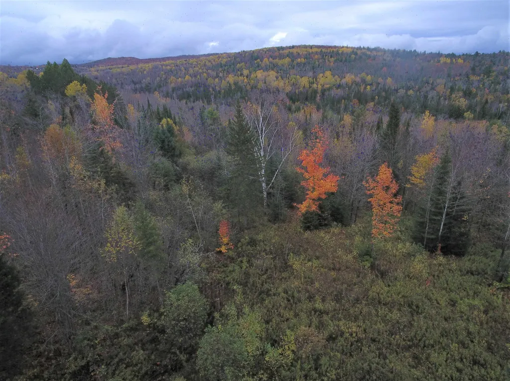 0 Shadow Lake Road Concord VT 05824