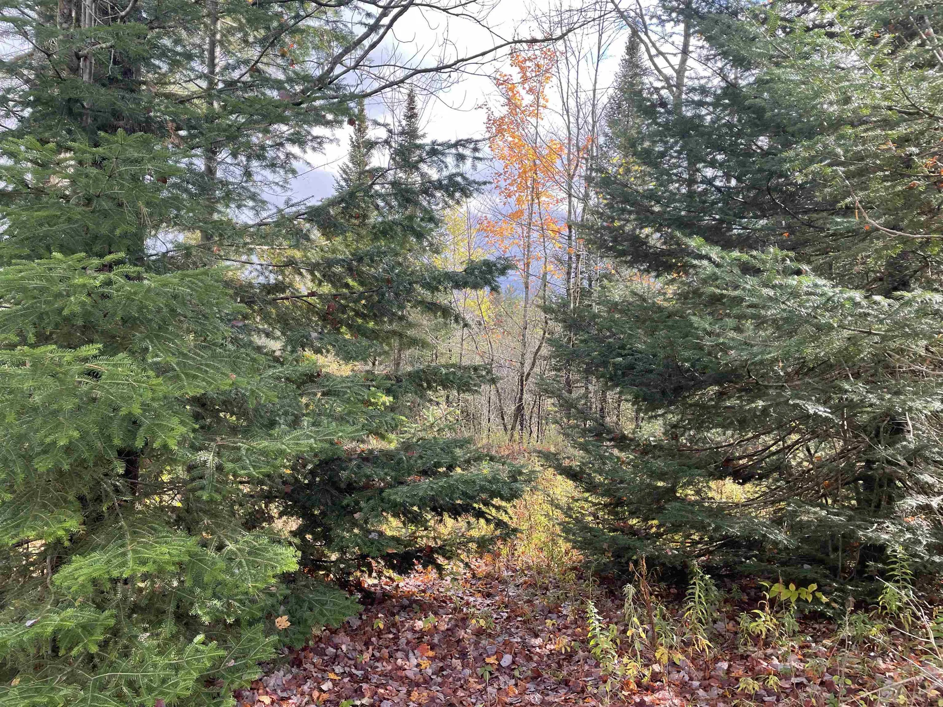 0 Shadow Lake Road Concord VT 05824