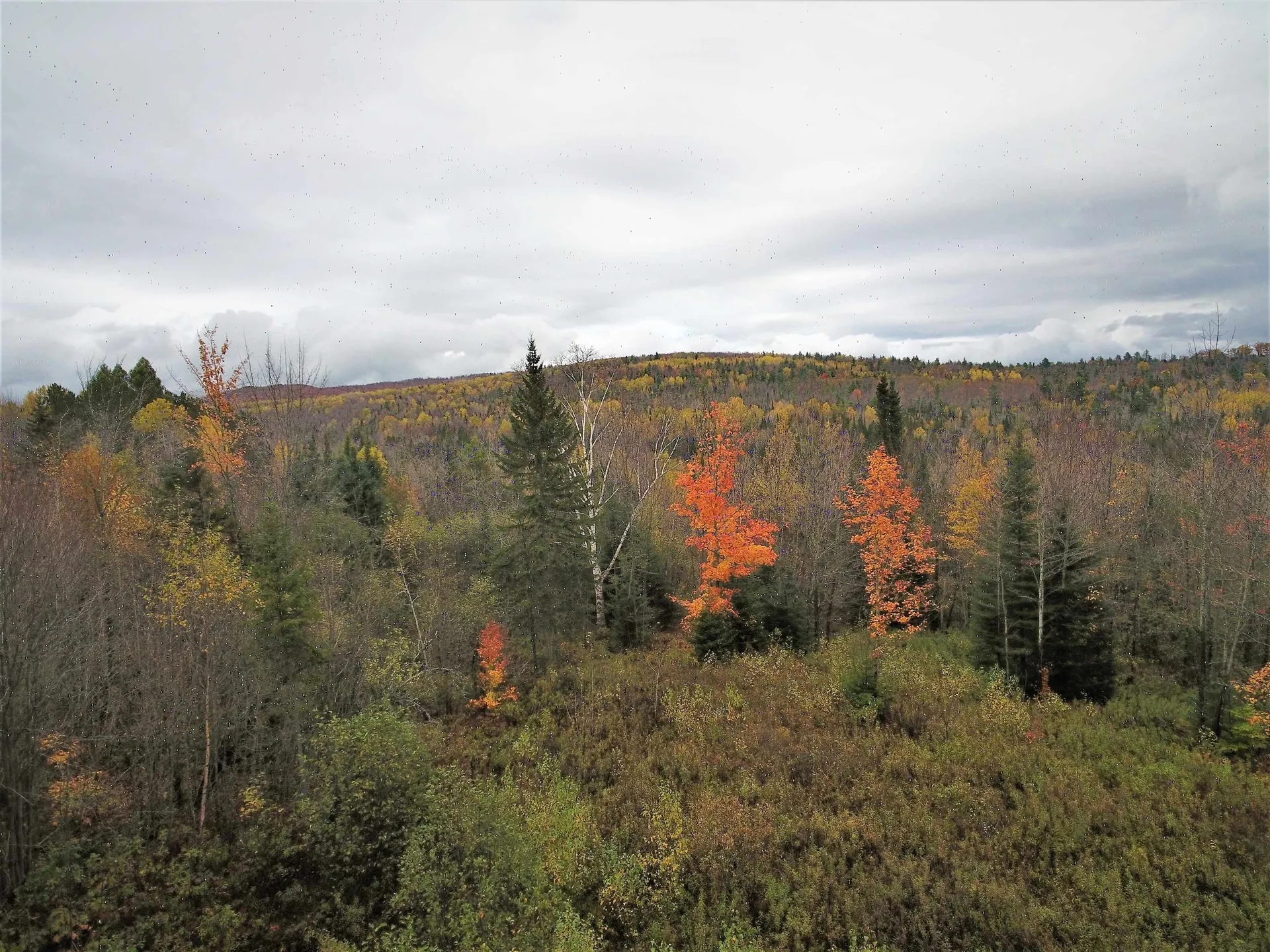 0 Shadow Lake Road Concord VT 05824