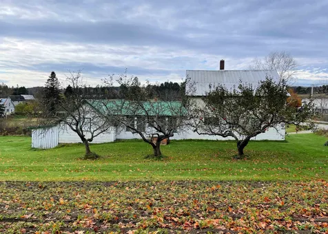 104 Thaddeus Stevens Road Peacham VT 05862