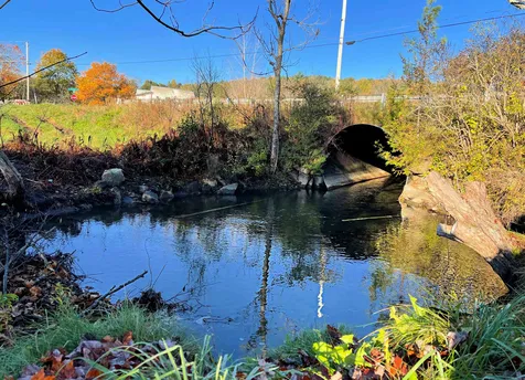 104 Thaddeus Stevens Road Peacham VT 05862
