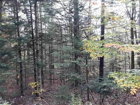 00 Bergrucken Lane Stamford VT 05352