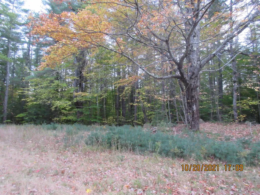 18 Ernst Road Milton NH 03851