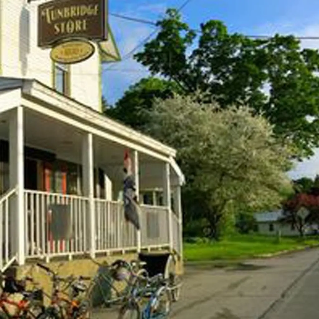 304 Vt Route 110 Tunbridge VT 05077