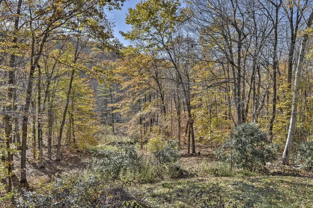 70 Chalet Drive Stoddard NH 03464