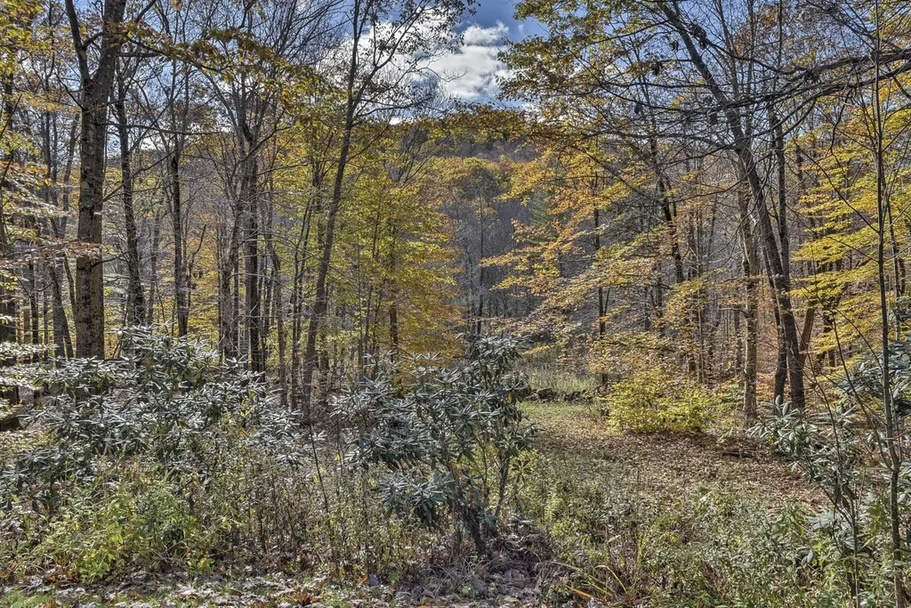 70 Chalet Drive Stoddard NH 03464