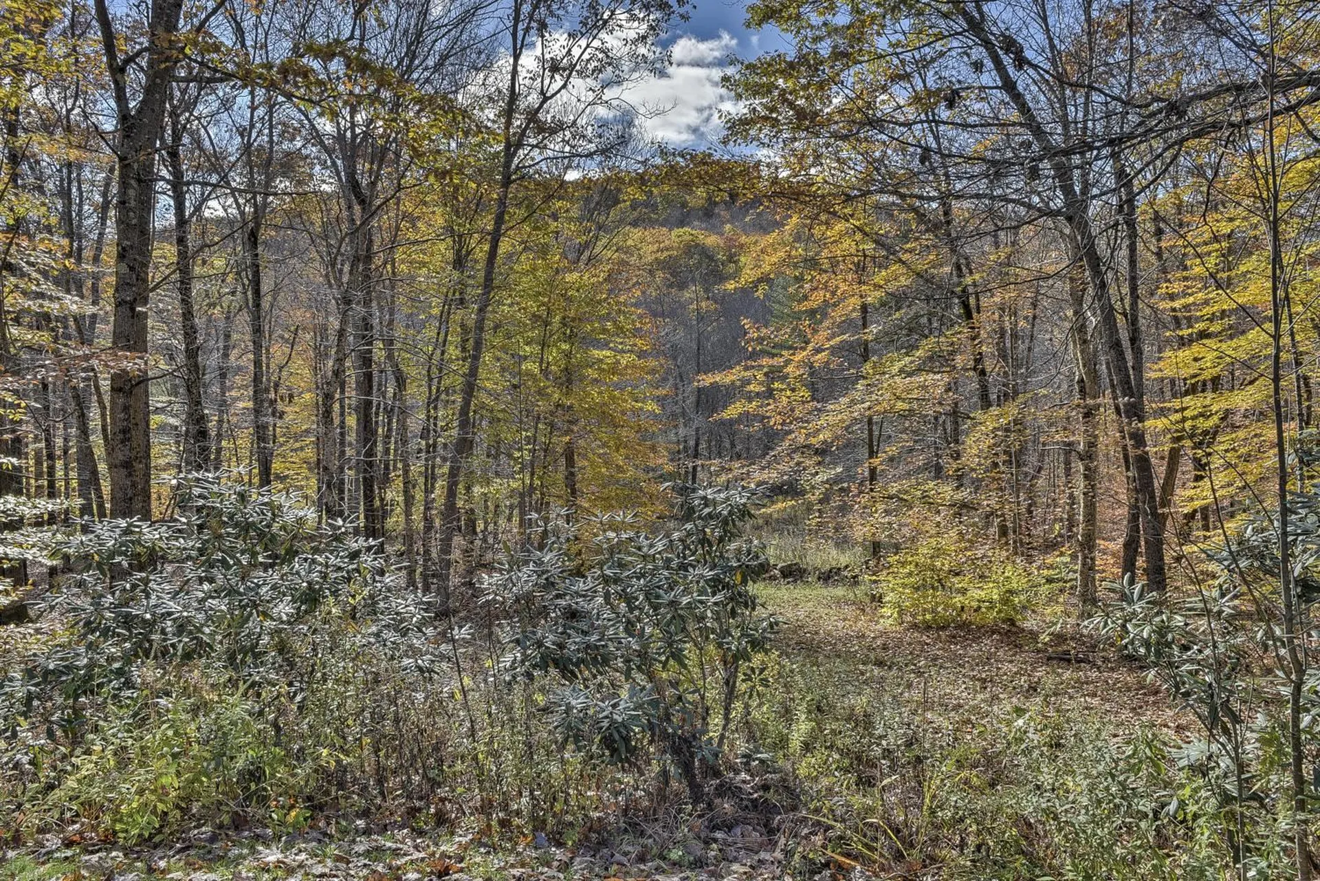 70 Chalet Drive Stoddard NH 03464