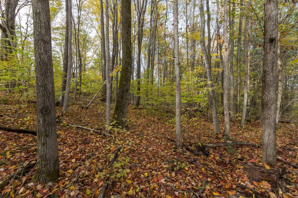 136 Burritt Road Hinesburg VT 05461