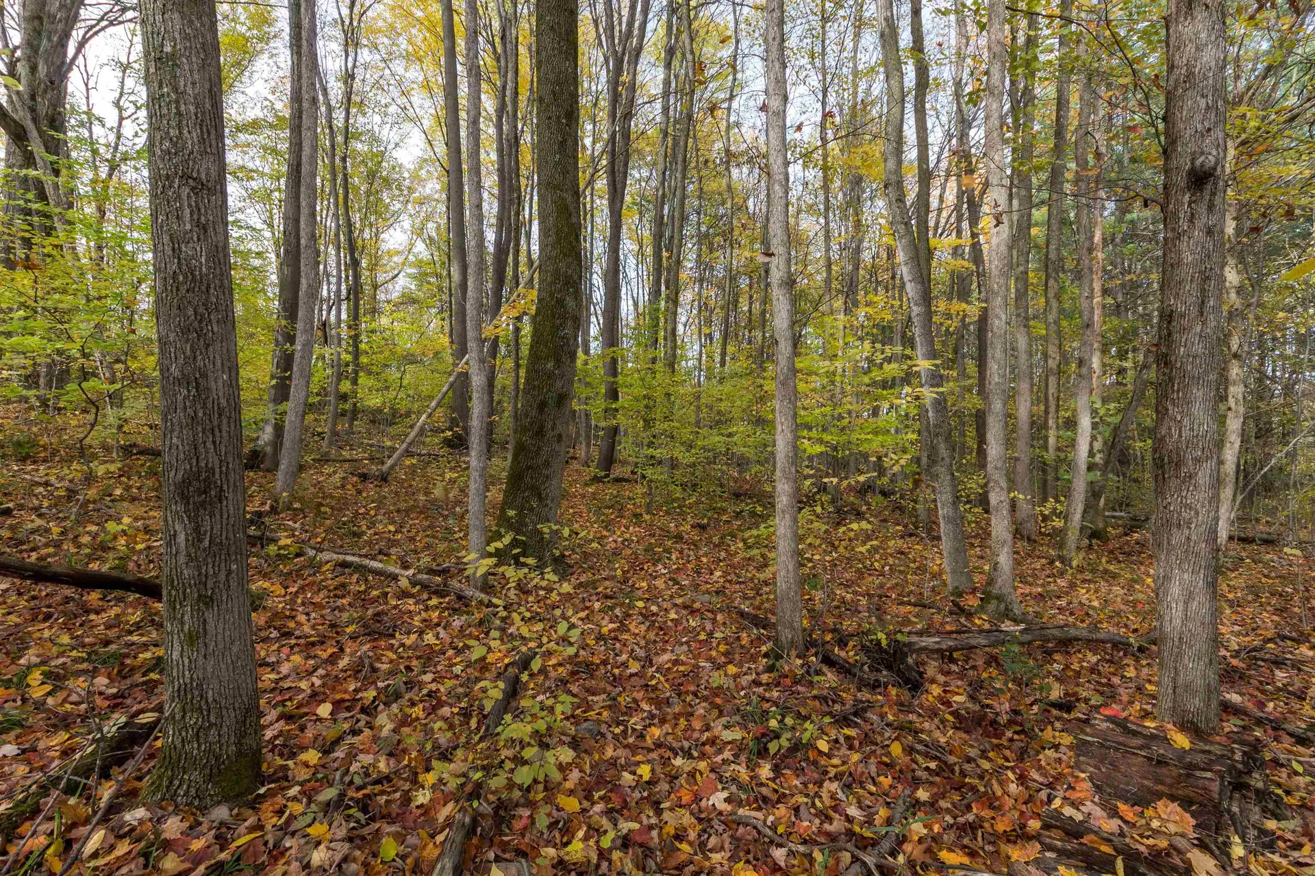 136 Burritt Road Hinesburg VT 05461