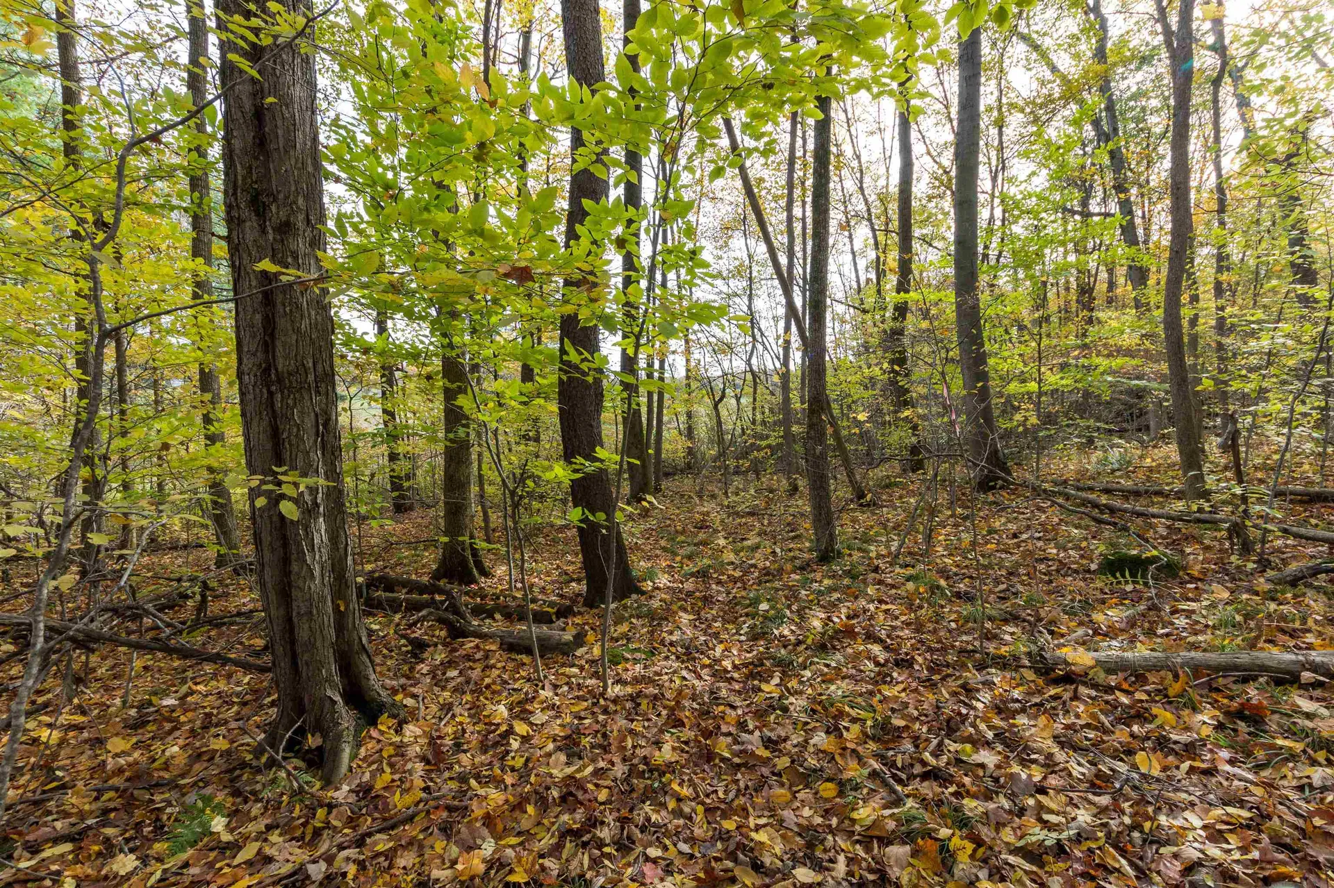136 Burritt Road Hinesburg VT 05461