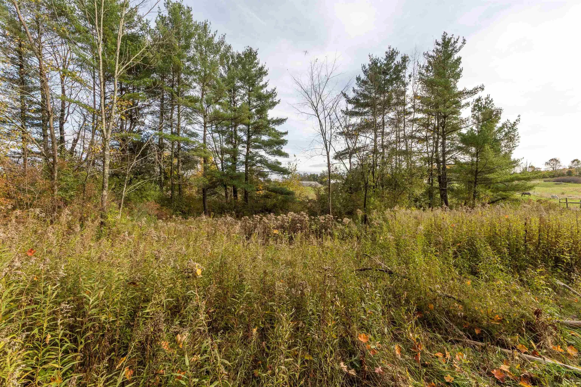 136 Burritt Road Hinesburg VT 05461
