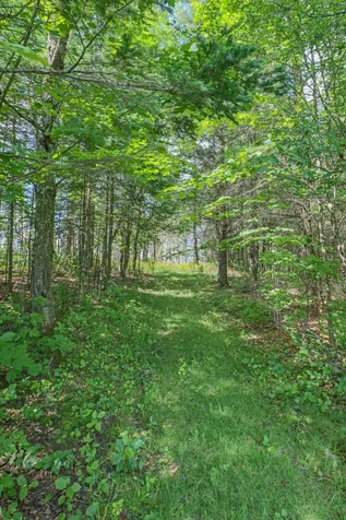 10690 Vt Route 111 Morgan VT 05853
