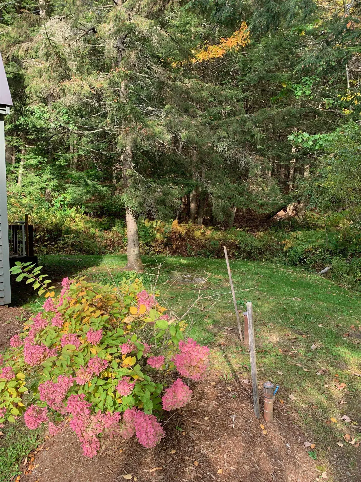 574 Willard Road Hartford VT 05059
