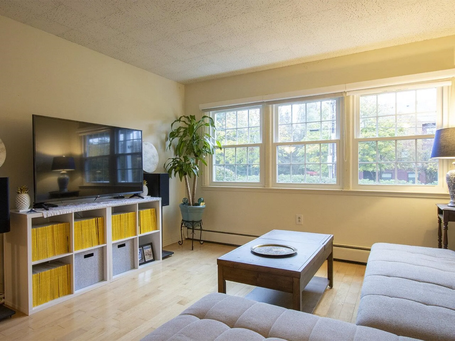 499 South Prospect Street Burlington VT 05401