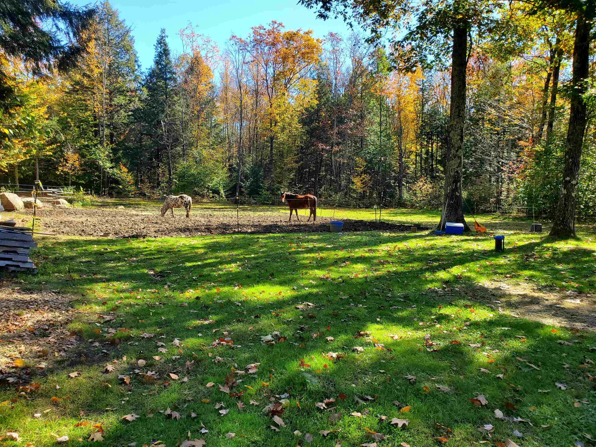 80 Sprague Road Richmond NH 03470