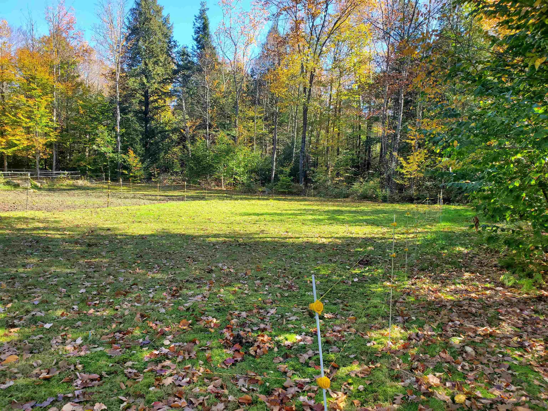 80 Sprague Road Richmond NH 03470