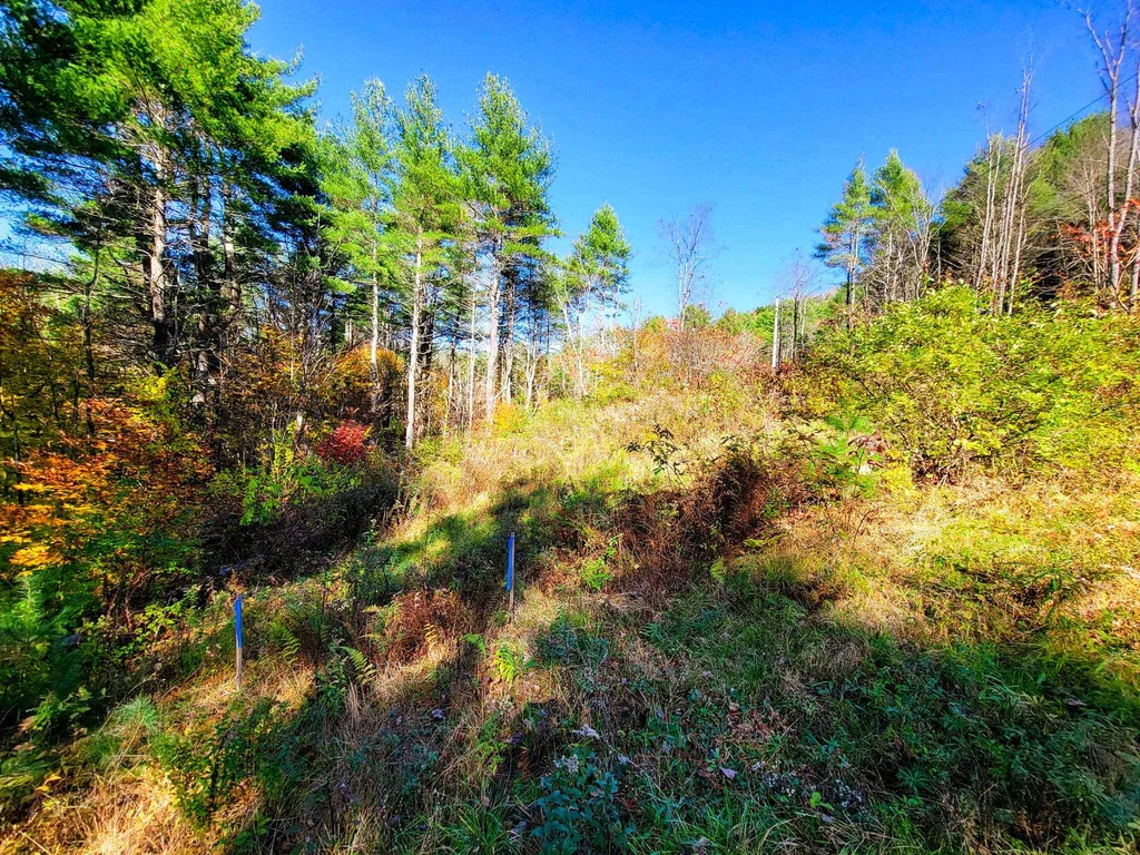 207 Slack Hill Road Royalton VT 05068