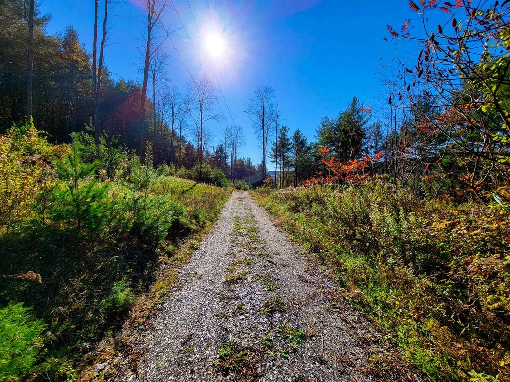 207 Slack Hill Road Royalton VT 05068