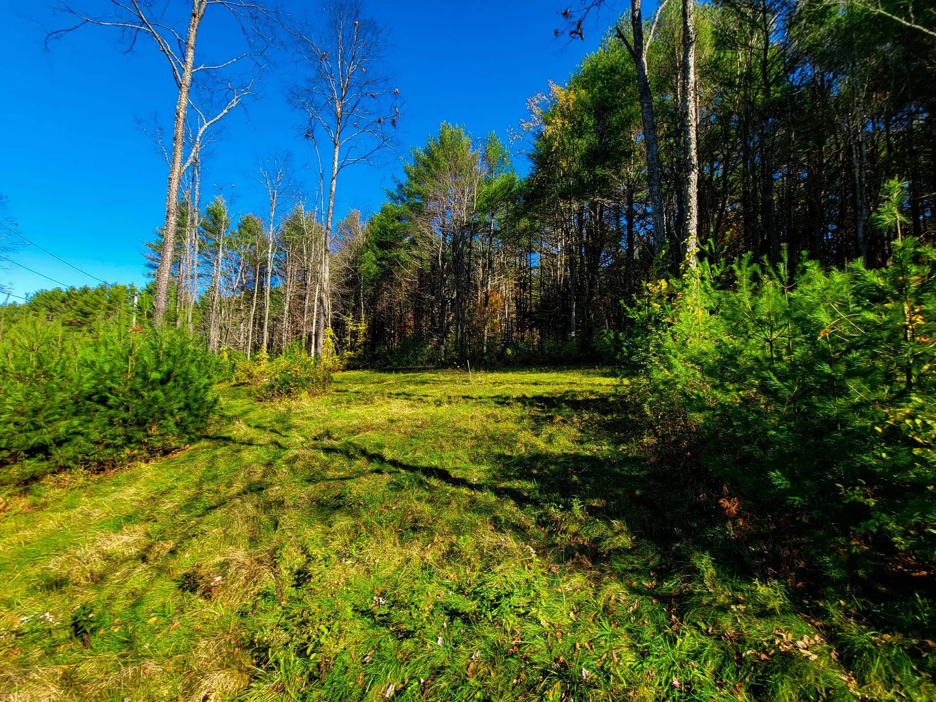 207 Slack Hill Road Royalton VT 05068