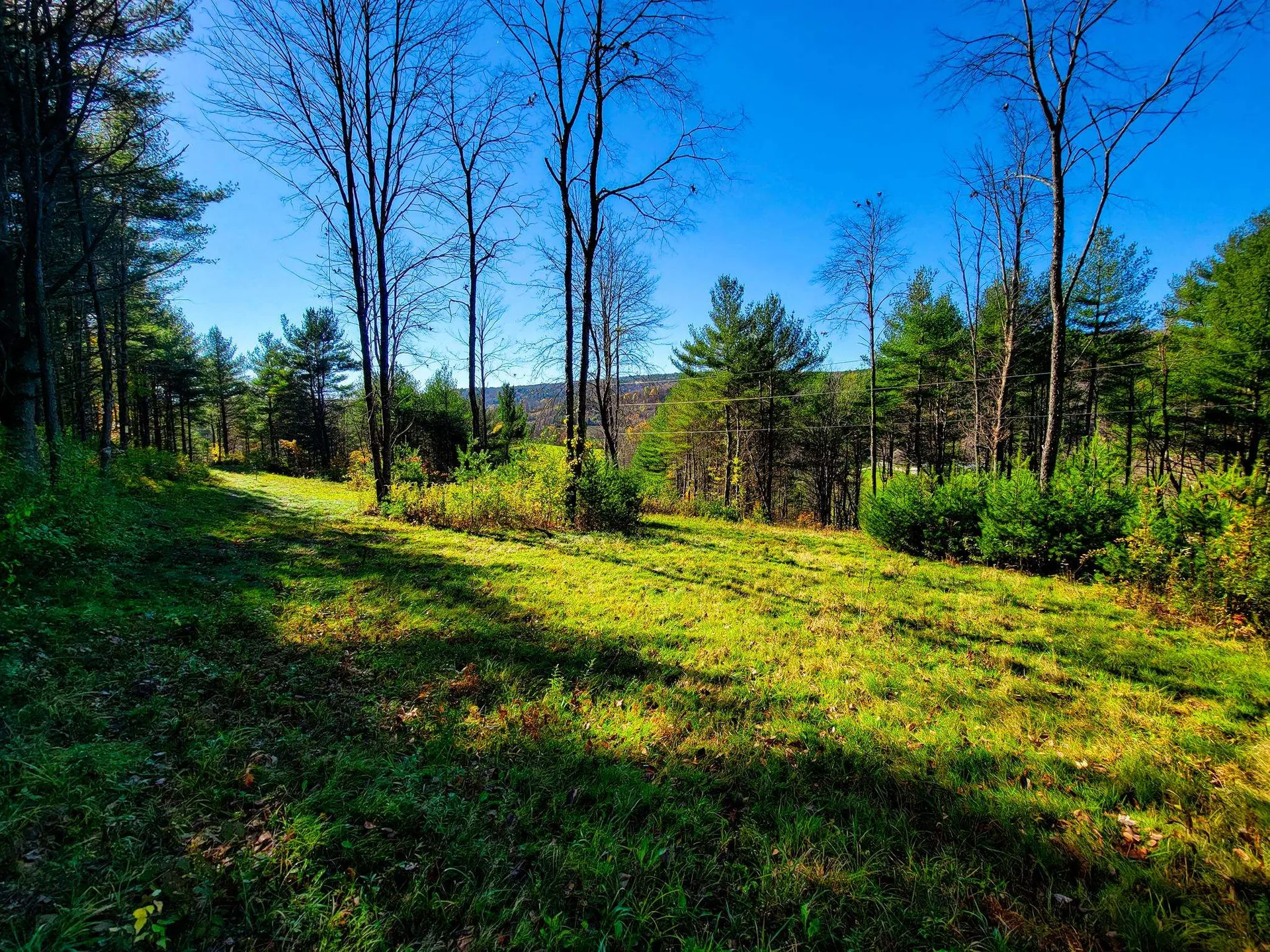 207 Slack Hill Road Royalton VT 05068