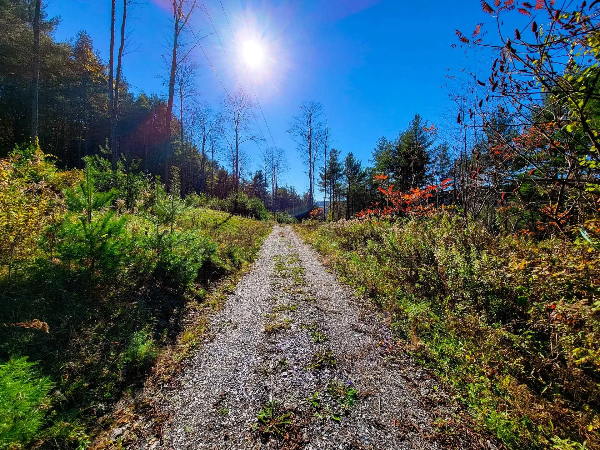 207 Slack Hill Road Royalton VT 05068