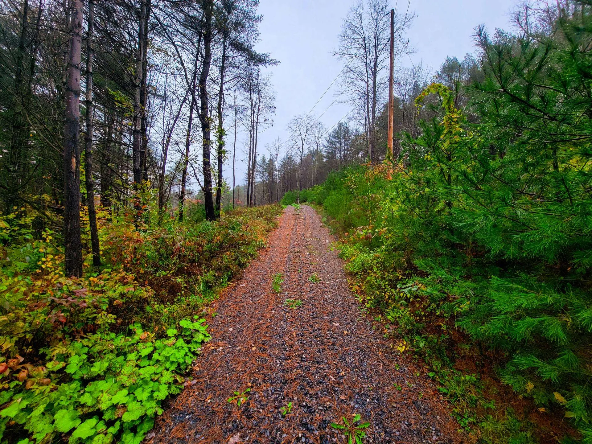 207 Slack Hill Road Royalton VT 05068