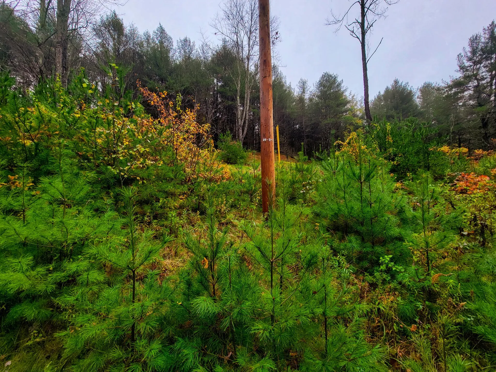 207 Slack Hill Road Royalton VT 05068