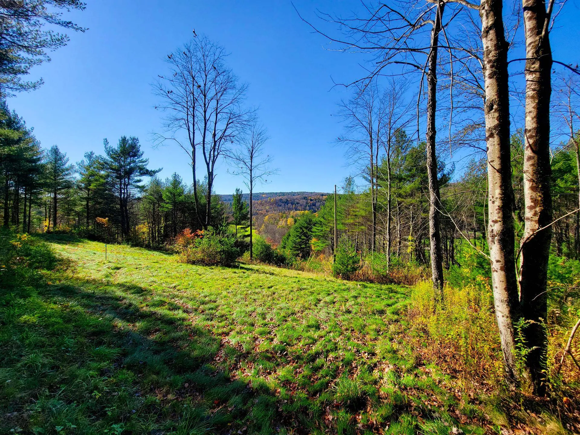 207 Slack Hill Road Royalton VT 05068