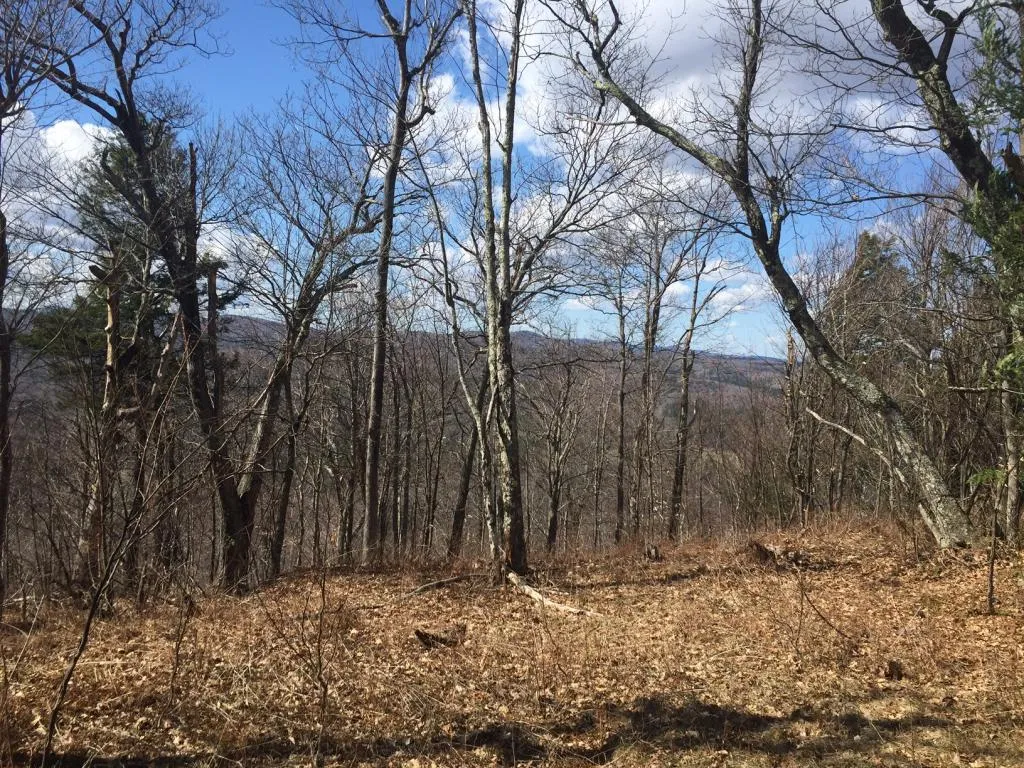 1600 Brook Road Halifax VT 05358