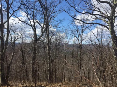 1600 Brook Road Halifax VT 05358