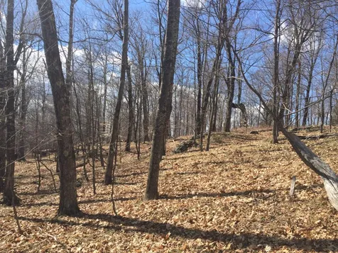 1600 Brook Road Halifax VT 05358
