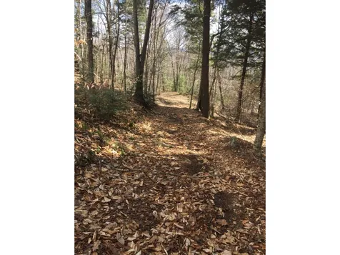 1600 Brook Road Halifax VT 05358