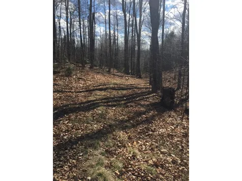 1600 Brook Road Halifax VT 05358