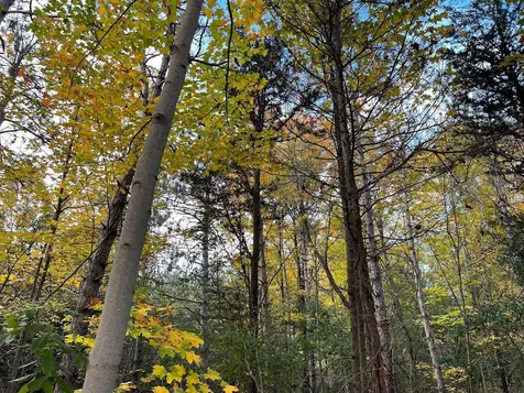 1 Us Route 2 Grand Isle VT 05458