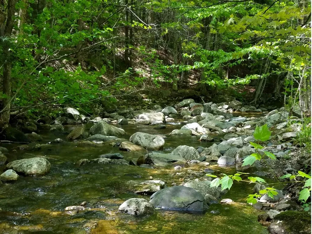 00 Route 100 Weston VT 05161